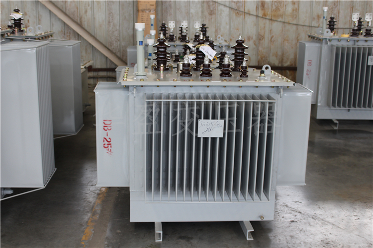 中山S20-800kVA/10kV/0.4kV变压器